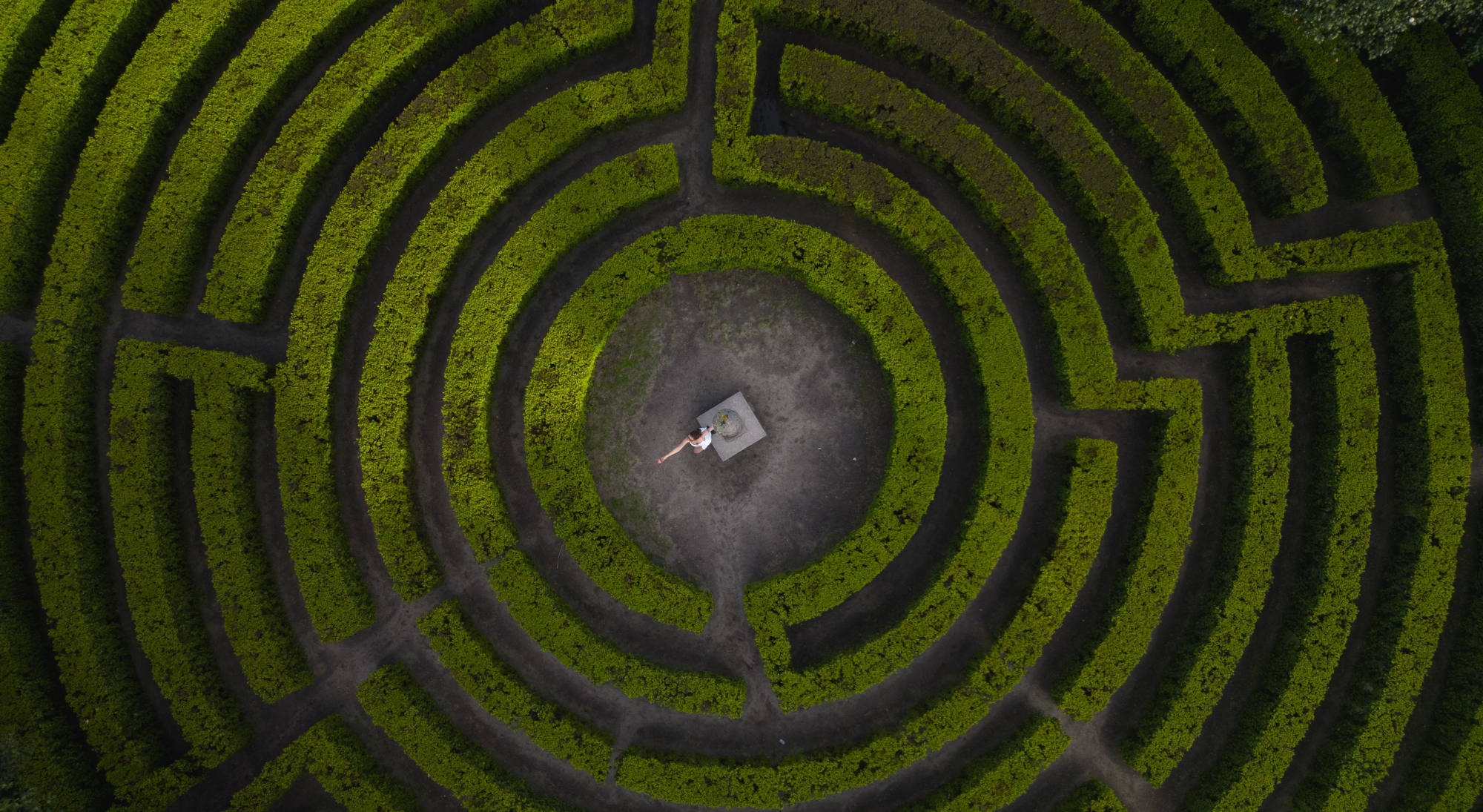 growth-image2